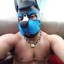 PuppoMax's avatar
