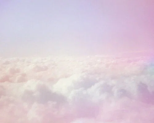 . profile banner