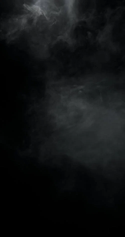 Sara Latex profile banner