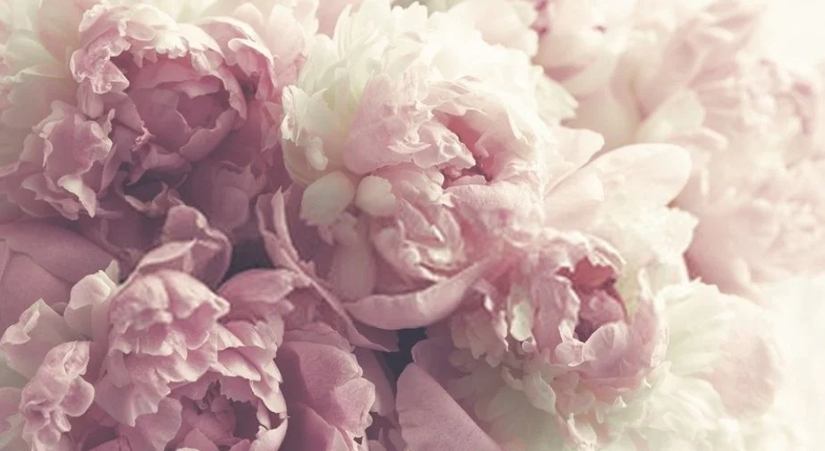 ❣️AmandaBlack♡❣️ profile banner