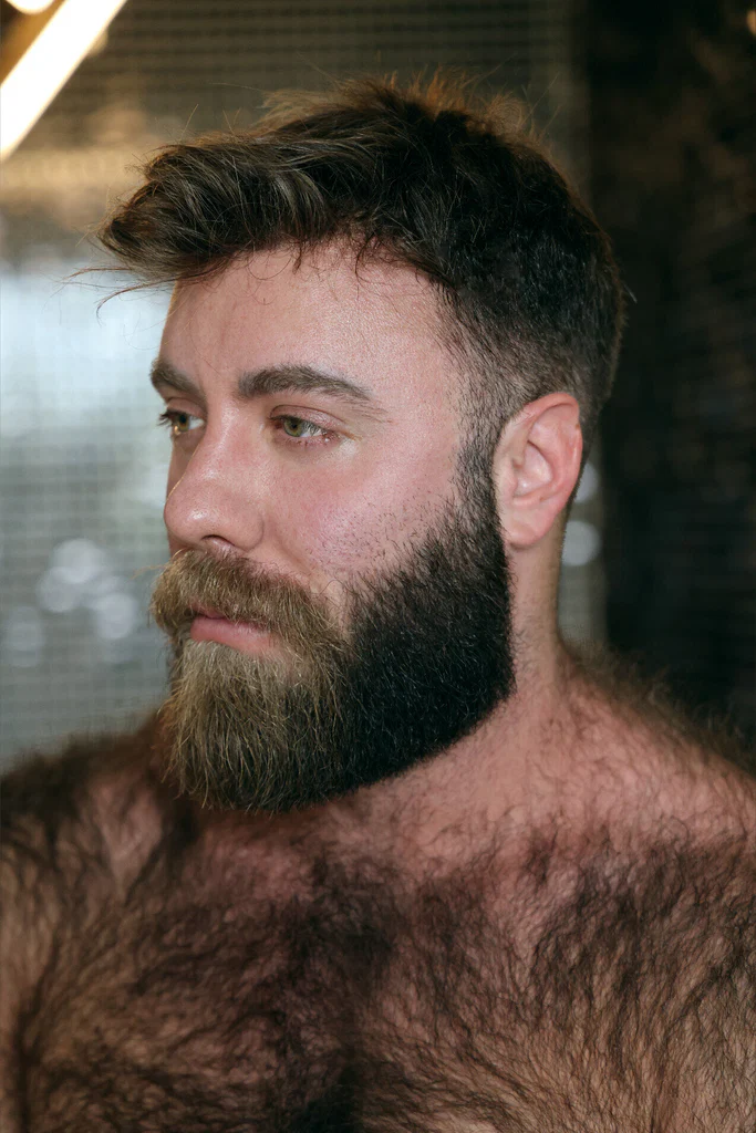 Mr. Teddy Bear's avatar