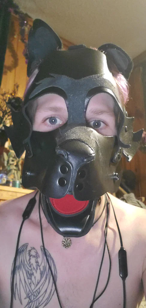 Zane-Pup's avatar