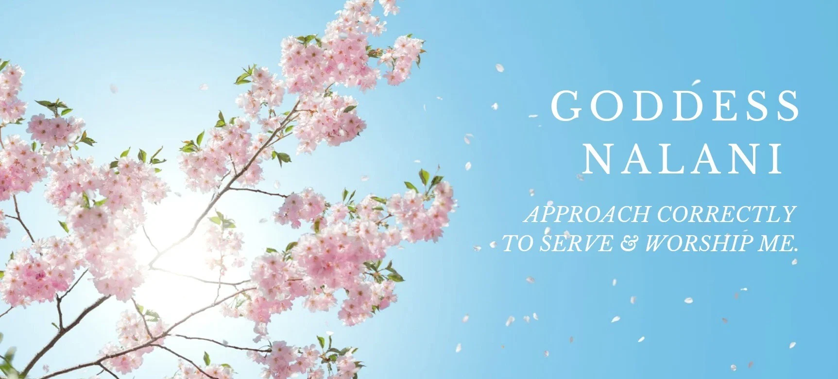 Nalani profile banner
