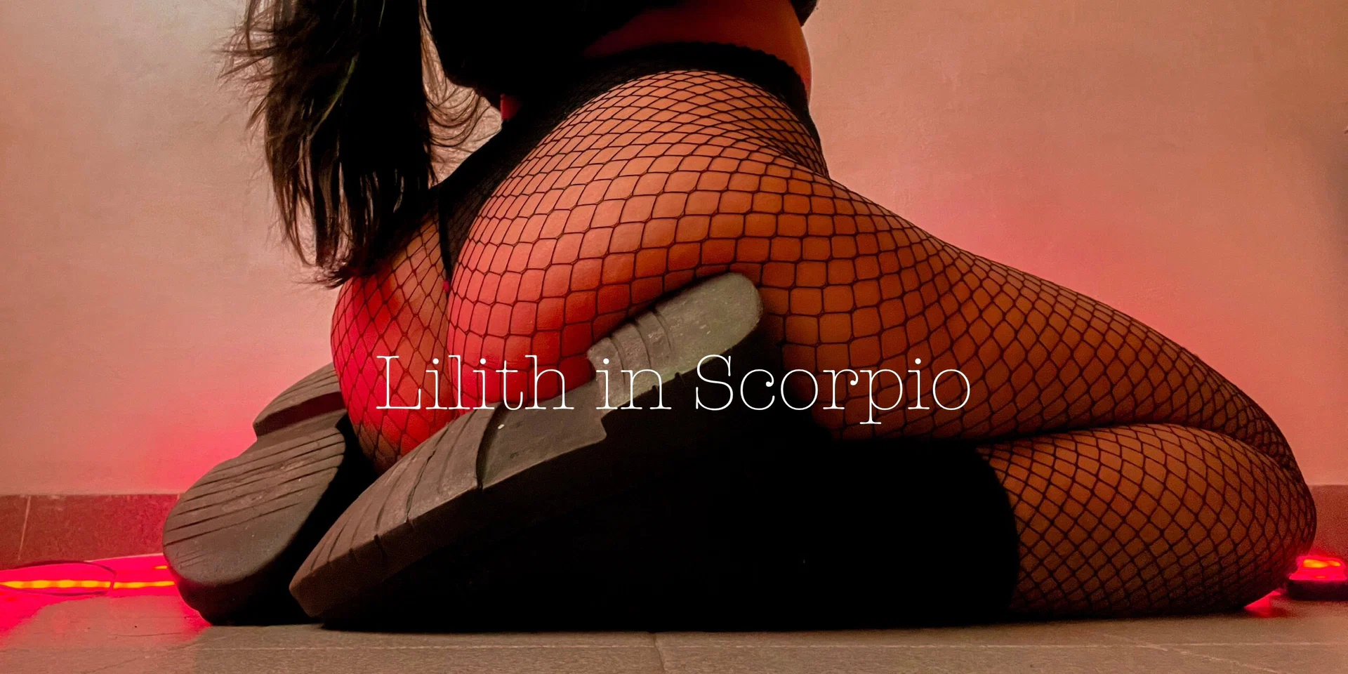 ๐ป๐๐๐๐๐ ๐๐ ๐๐๐๐๐๐๐ ๐ค profile banner