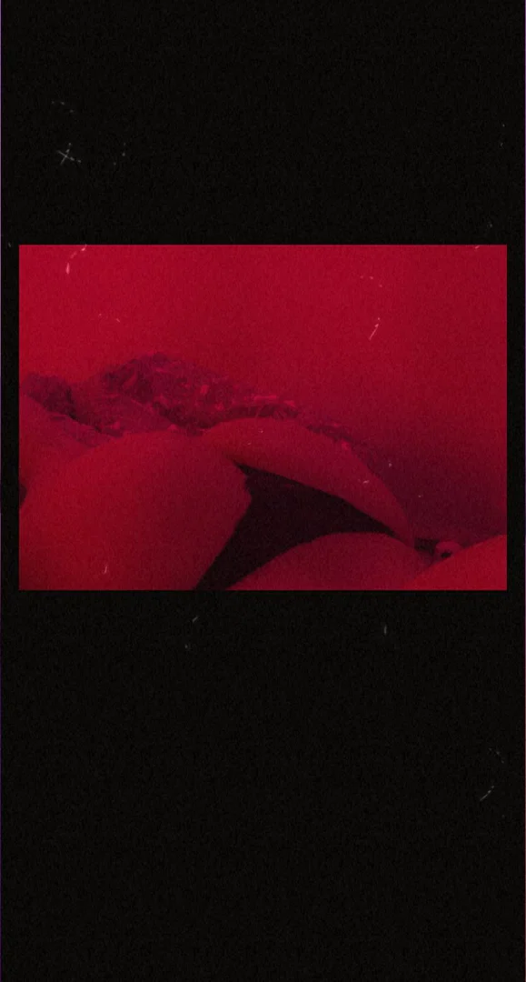 Vilms profile banner
