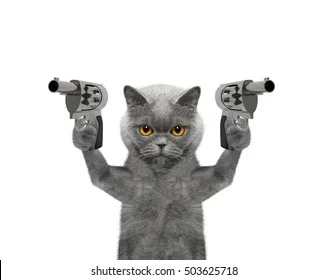 imgonnaeatyourheart's avatar
