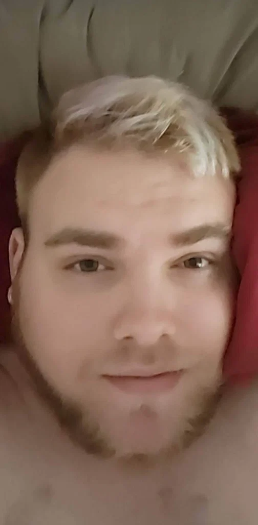 PigBearOddly