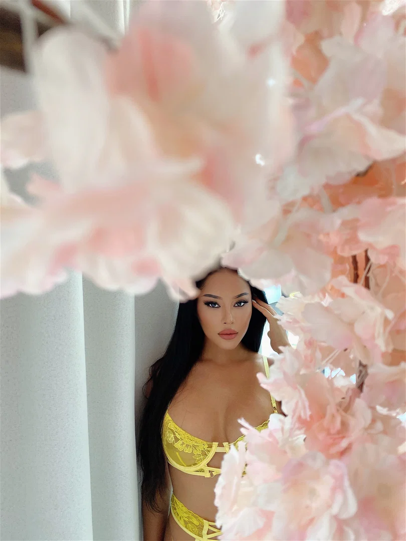 Kim profile banner