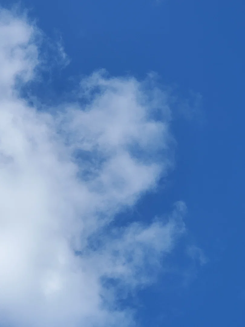 Miss Mimi profile banner