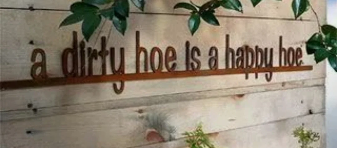 Hunny profile banner