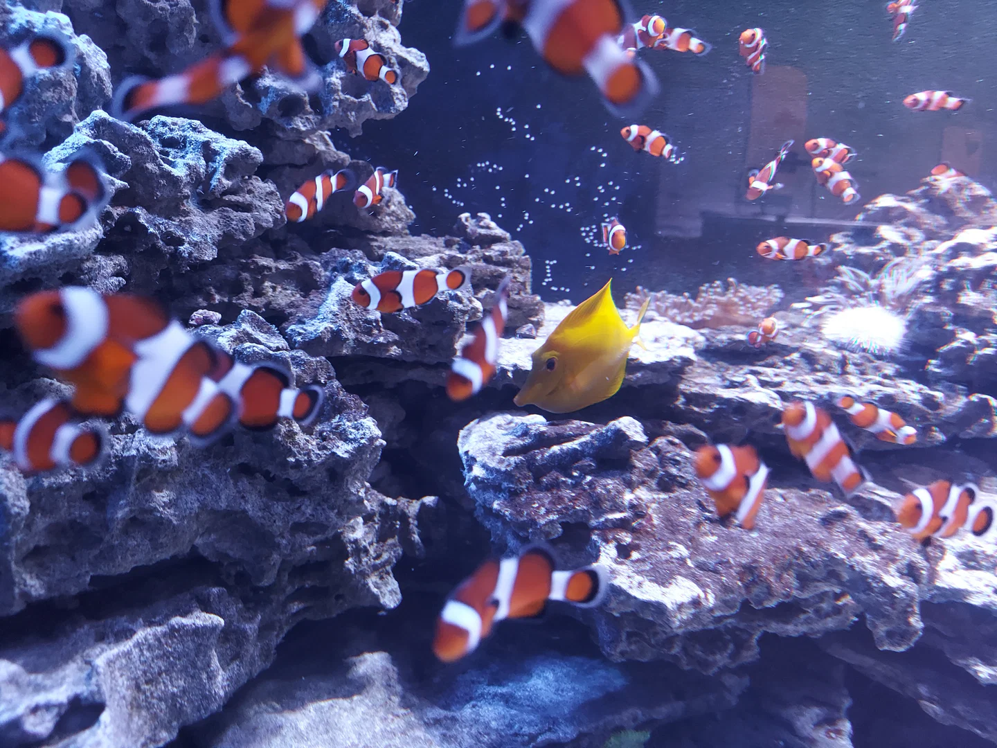 Bubble Budy profile banner