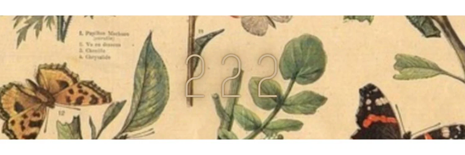 SashaxEclipse profile banner