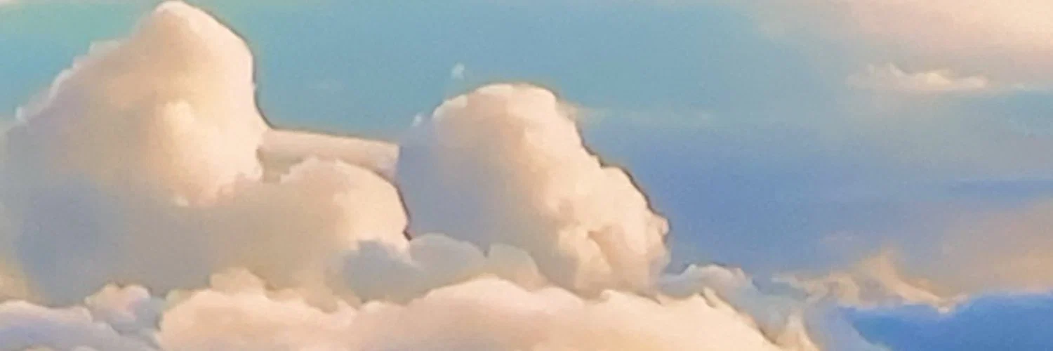 misterdonotdisturb profile banner