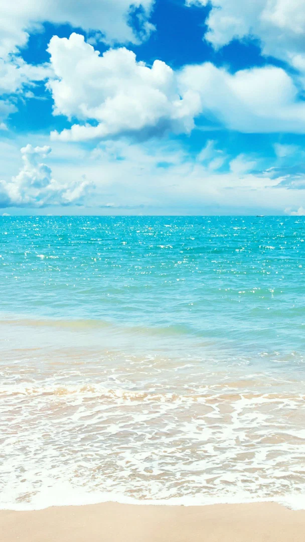 Sacha L profile banner