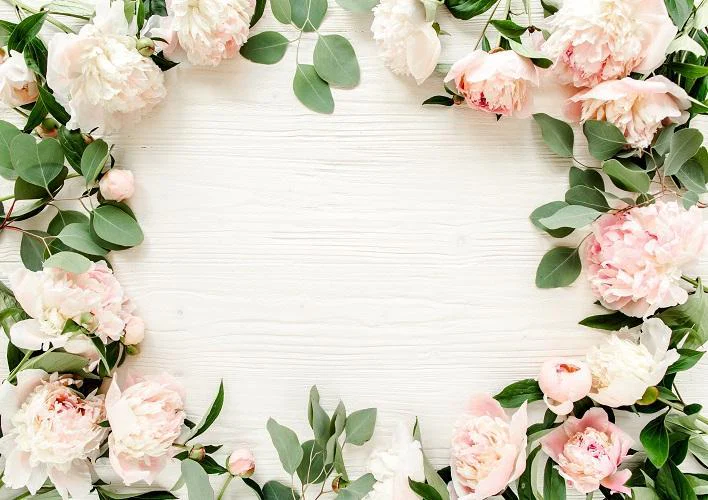 PrincessMarie profile banner