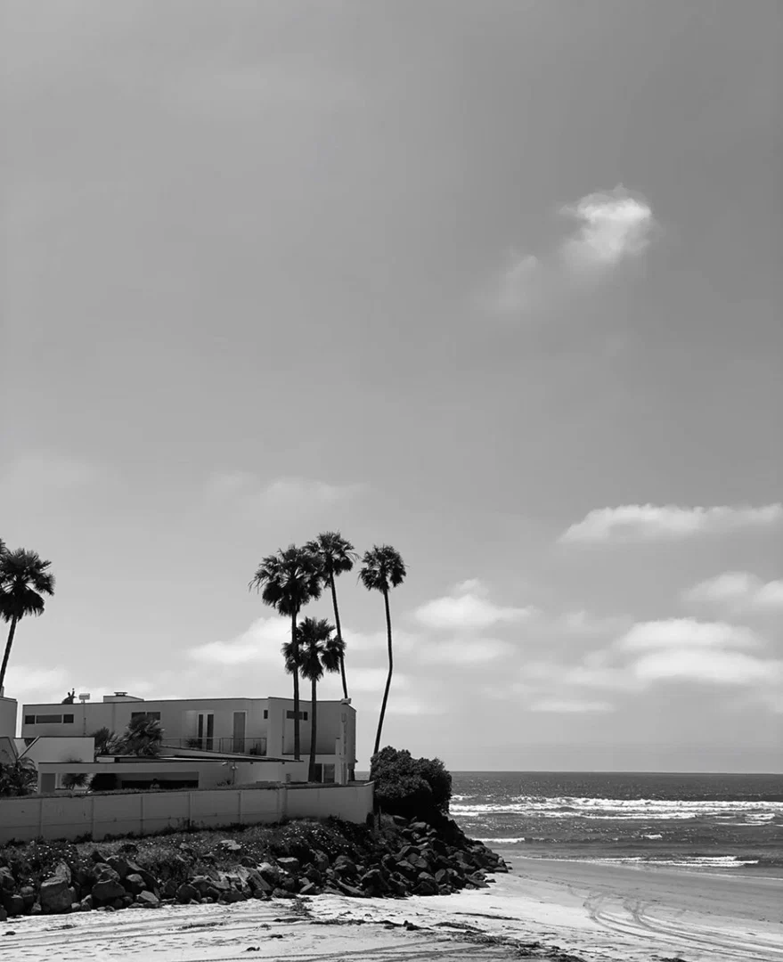 White Widow profile banner