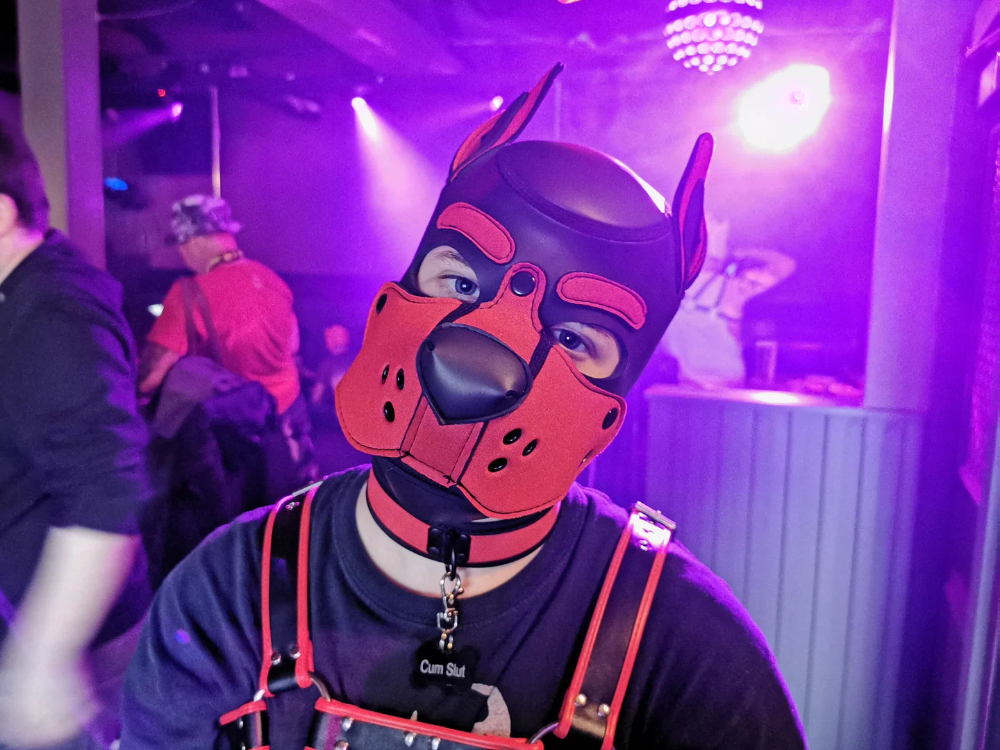Pup Axel profile banner