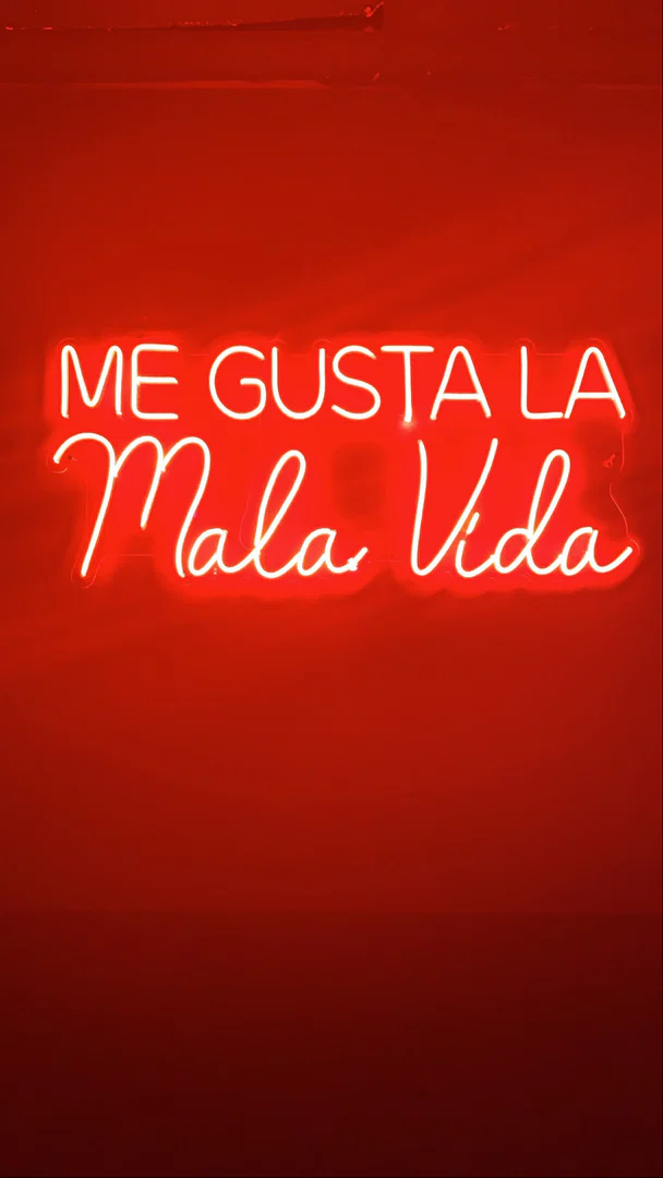 Bunny🐰 profile banner