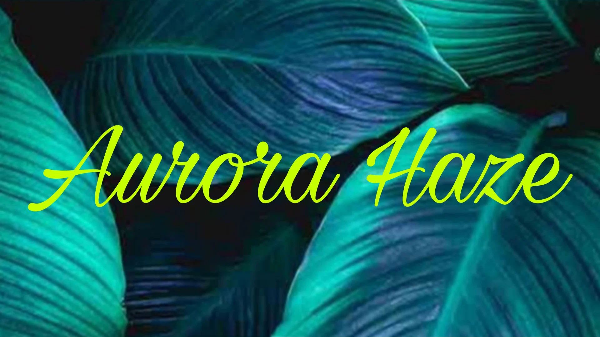 Aurora Haze profile banner