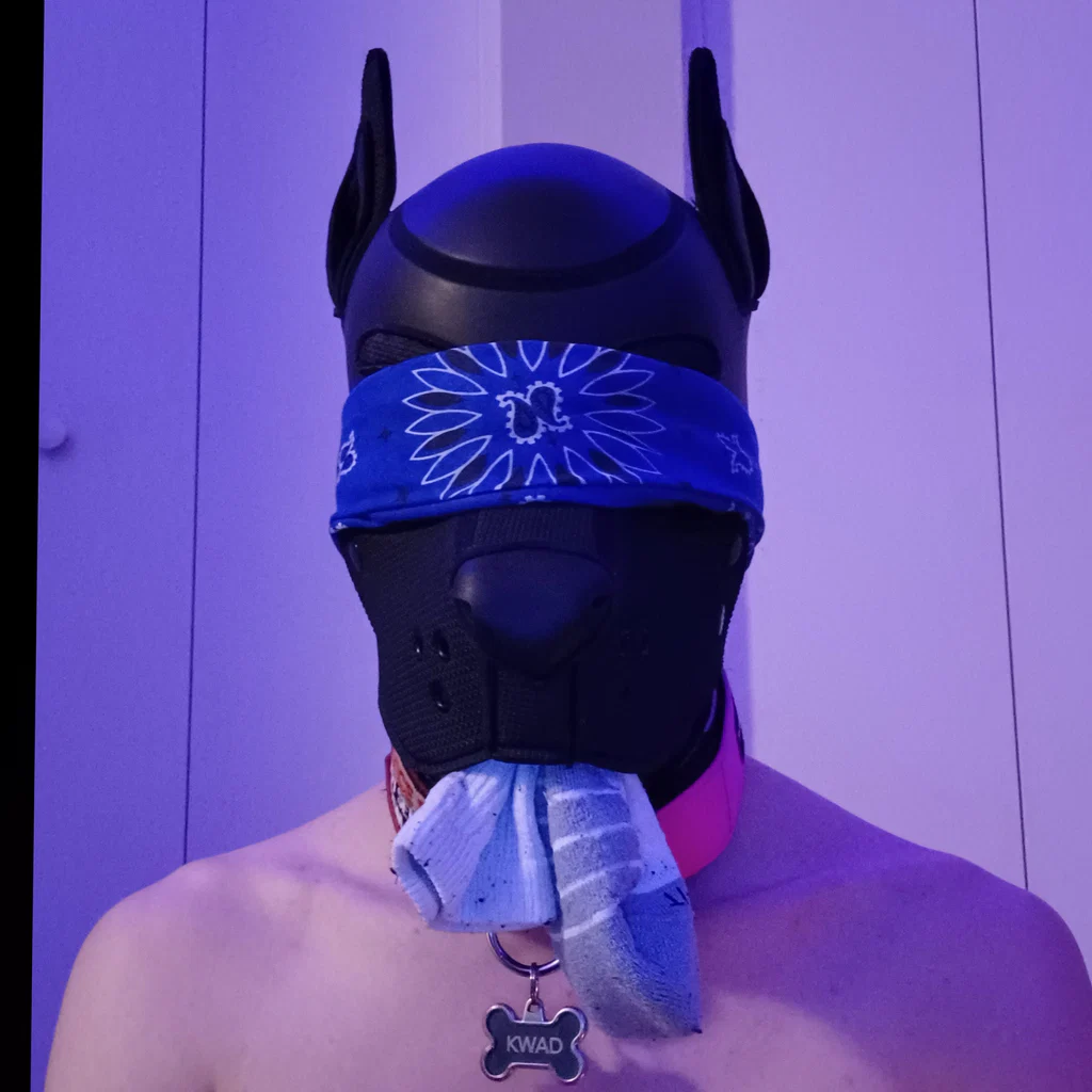 Pup Kwad's avatar