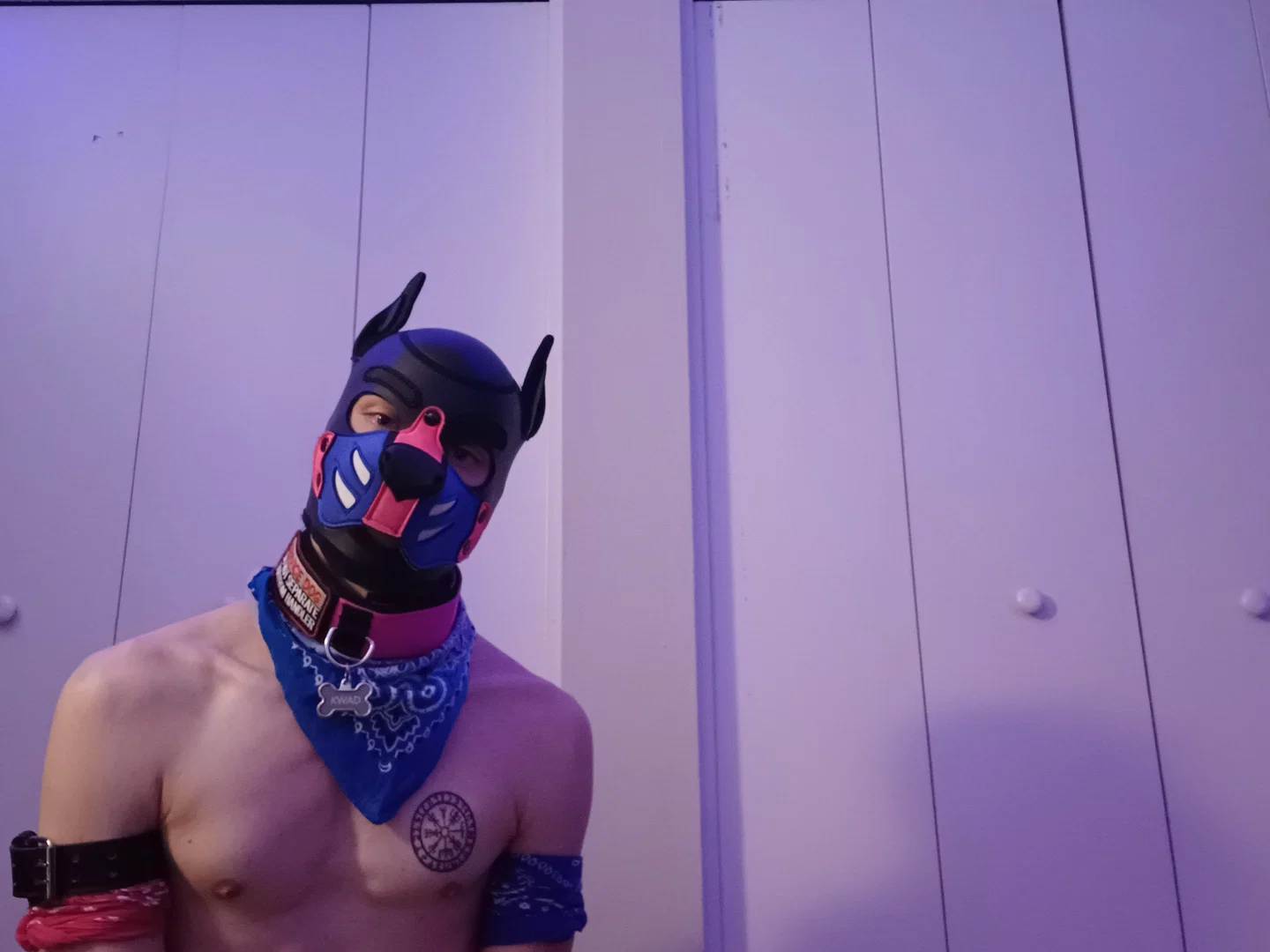 Pup Kwad profile banner