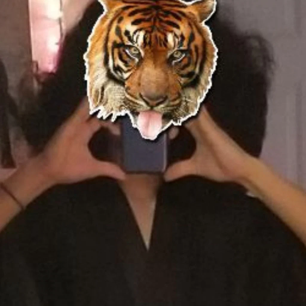 tigbutt's avatar