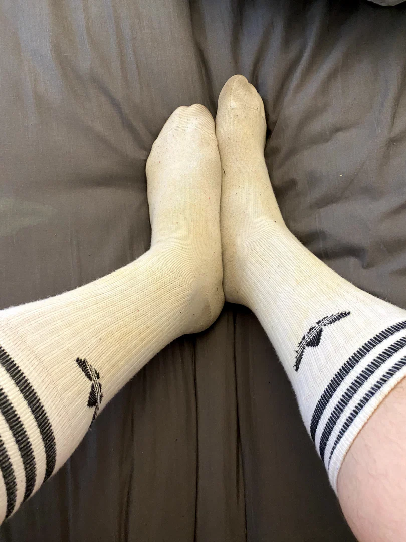 Welsh sock lover profile banner