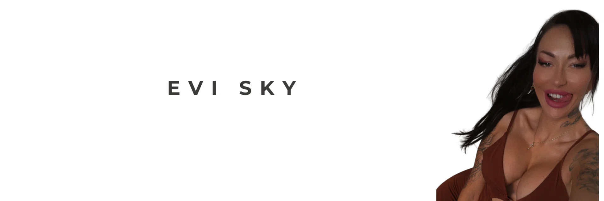 EviSkyOfficial profile banner