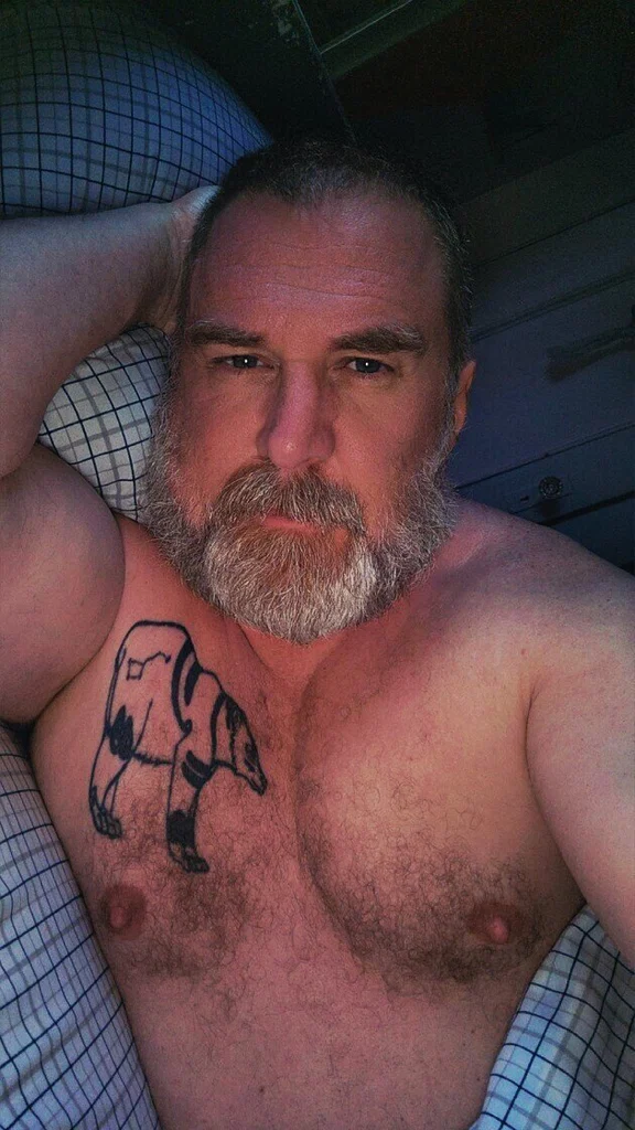 The Daddy Bear Life