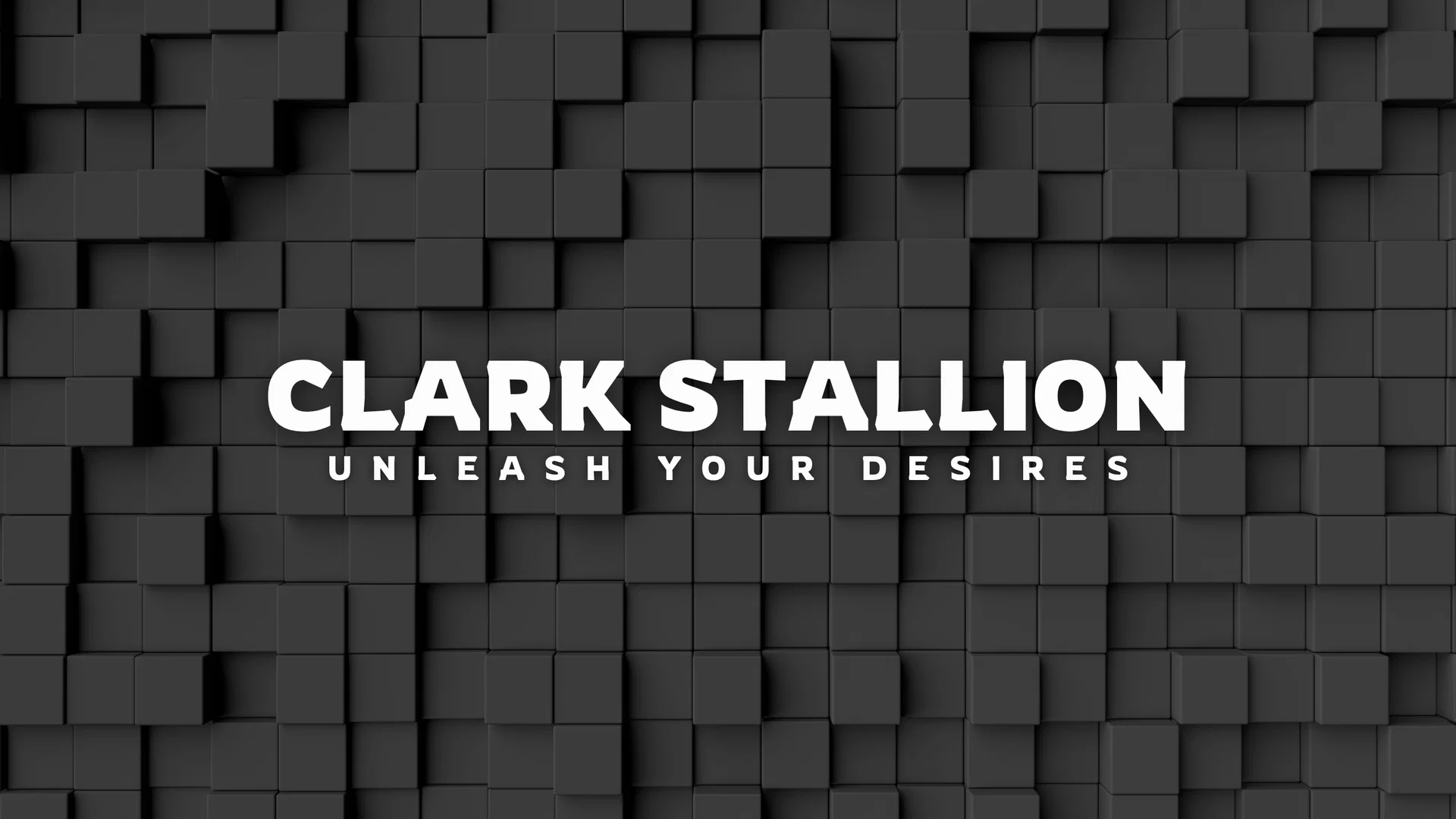 Clark Stallion profile banner