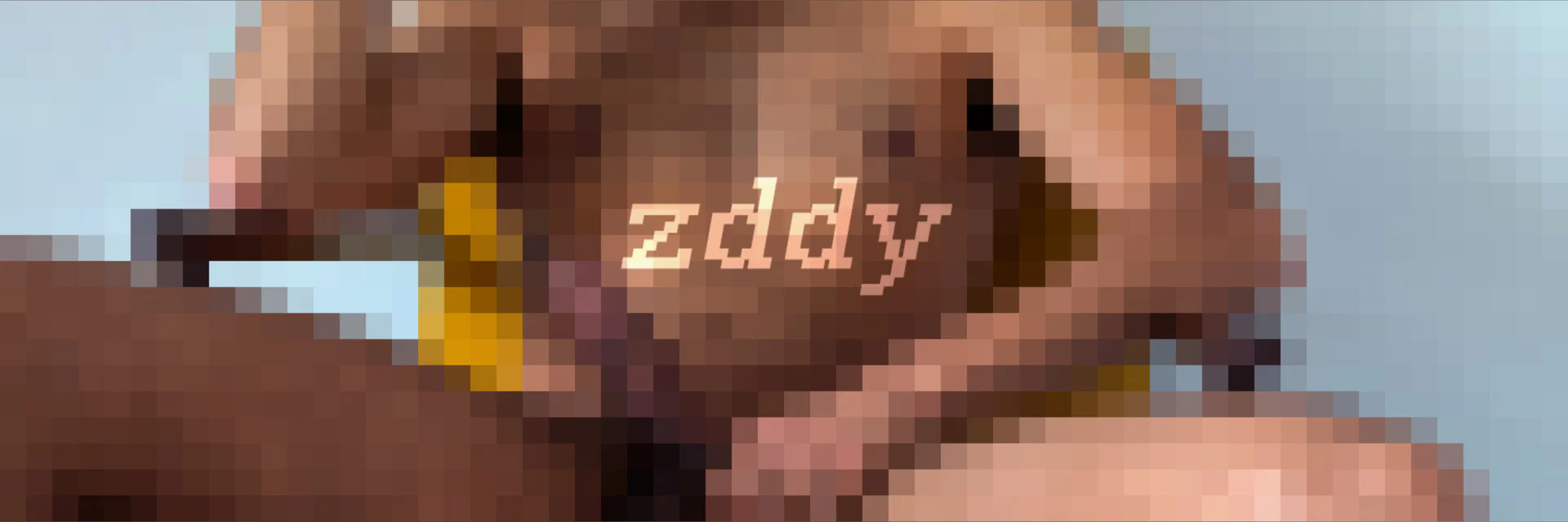 Your Local Zaddy profile banner