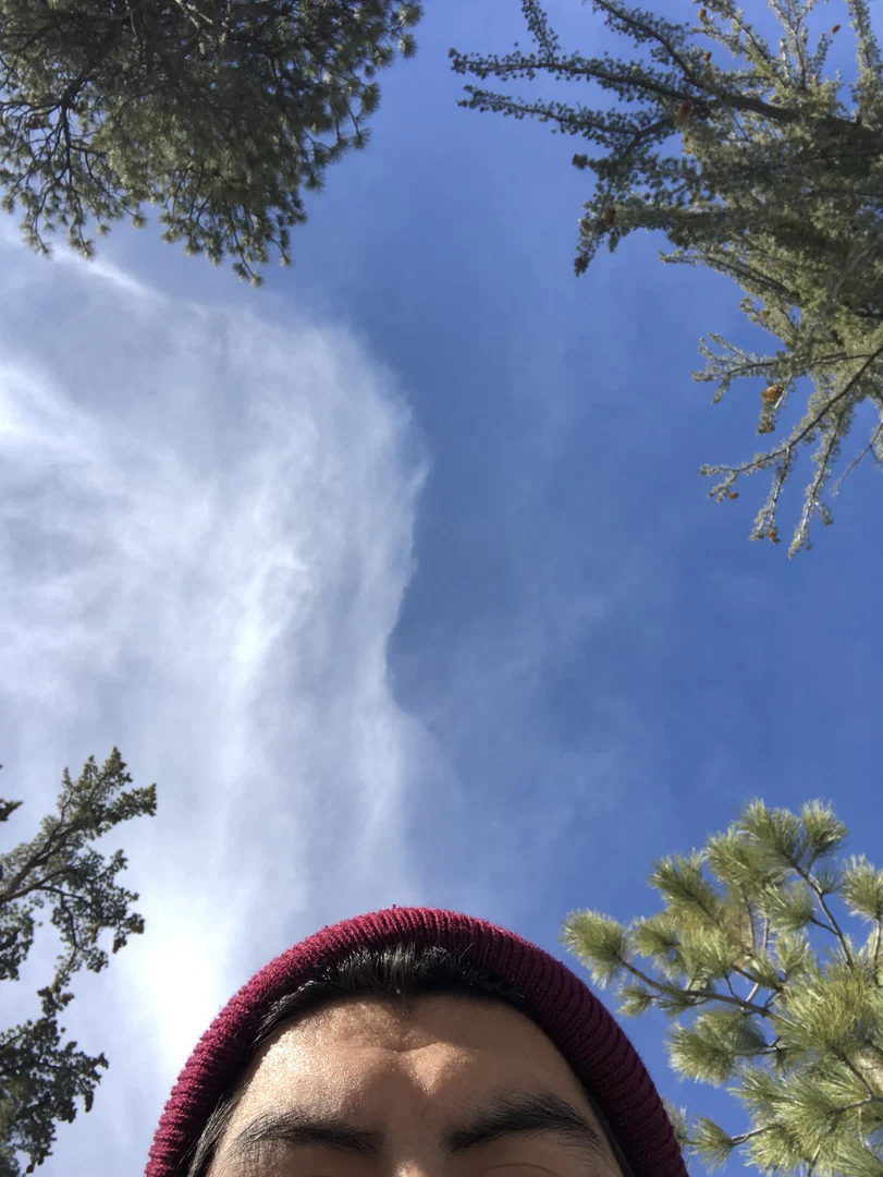Let Me Cum profile banner