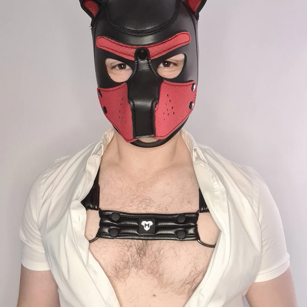 mrgemini's avatar