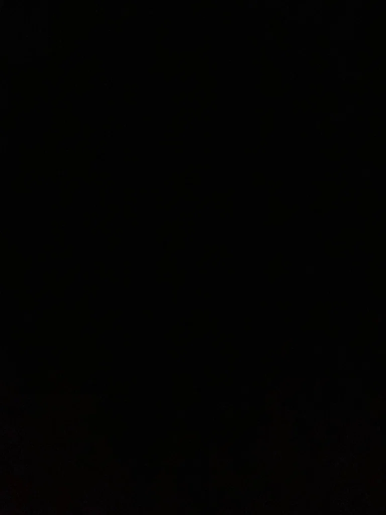 xxprincesspechexx's avatar