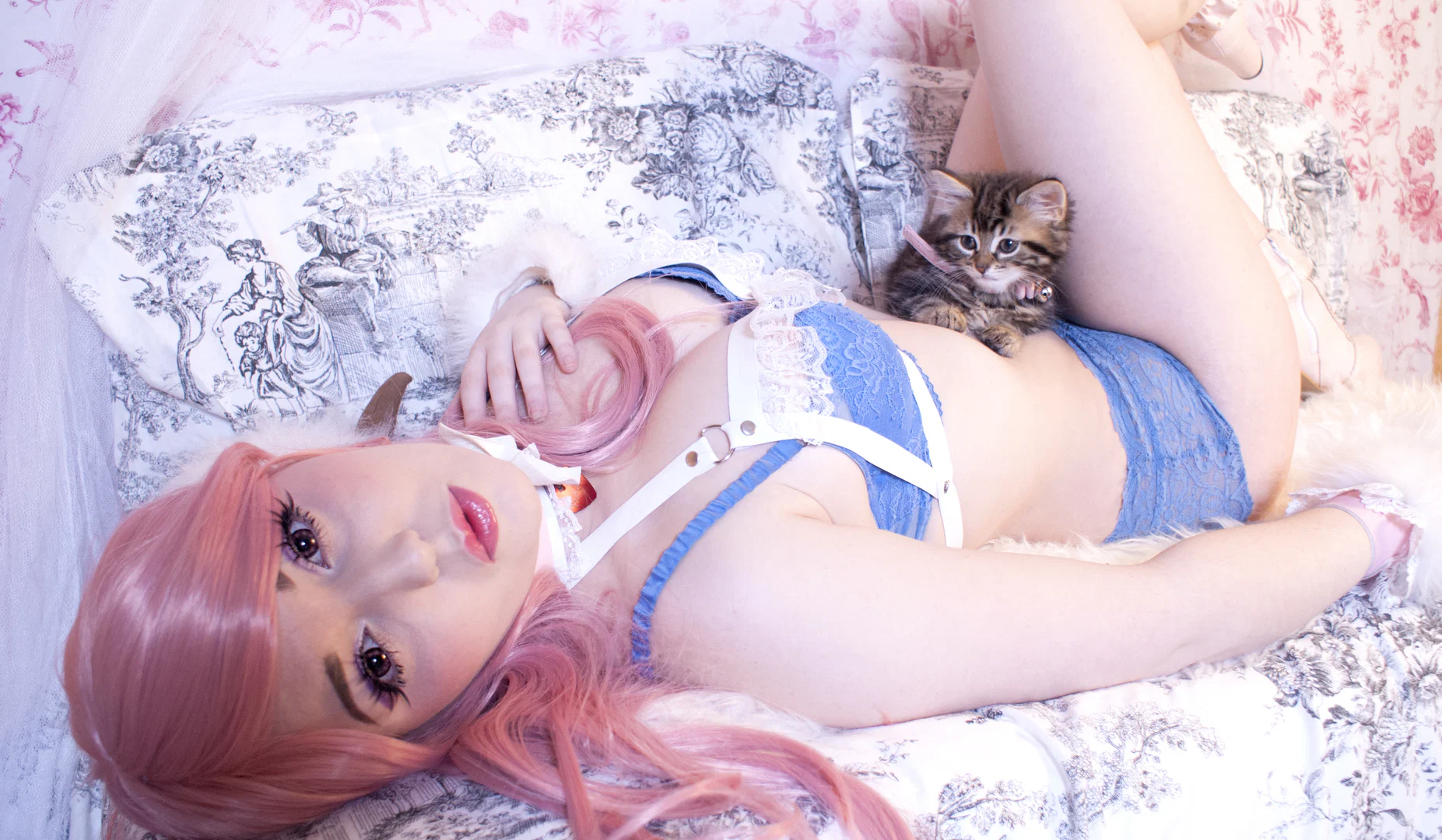 Laurelle Fox profile banner