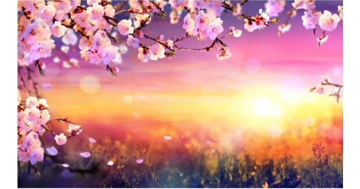 Persephone Adams profile banner