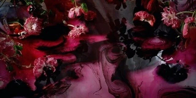 ππ π¨ππ πͺ ππππππ£ profile banner