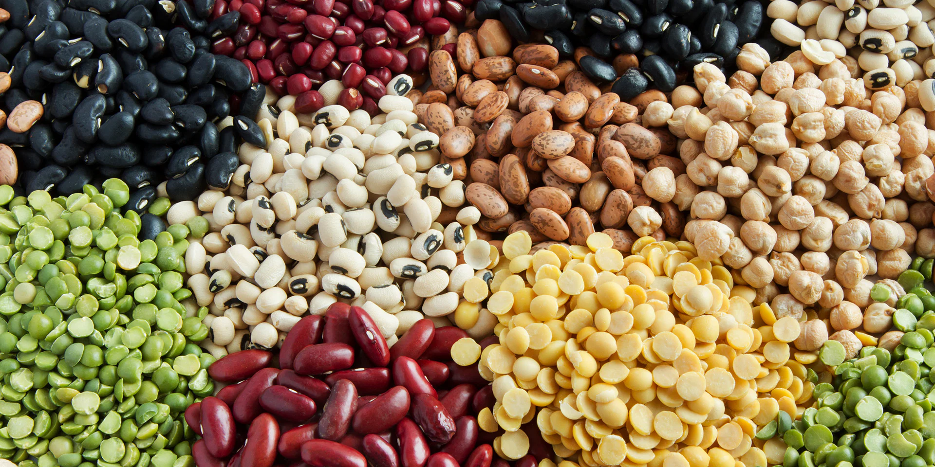 Beans profile banner