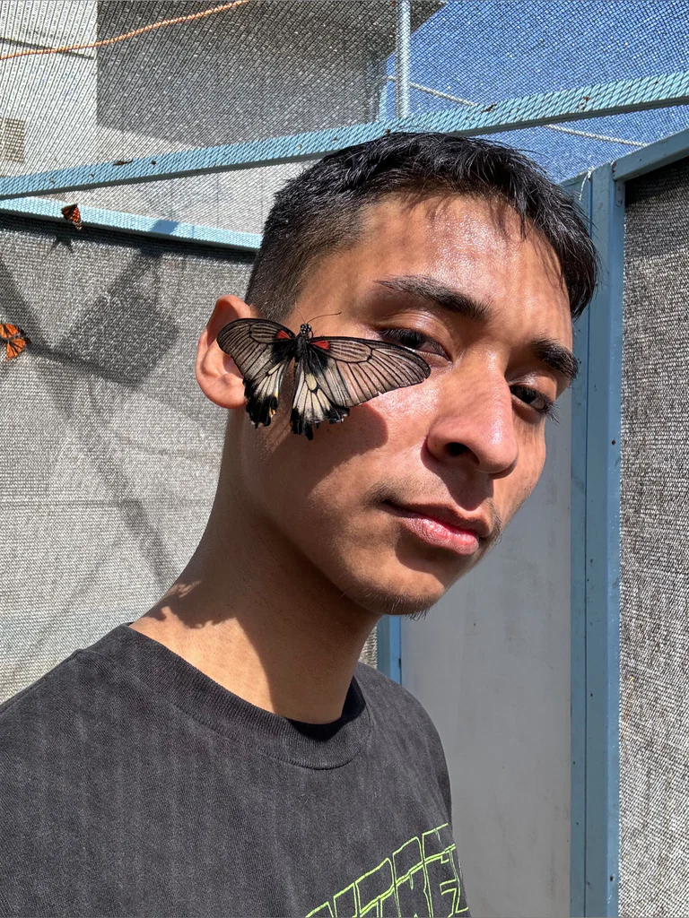 Alex's avatar