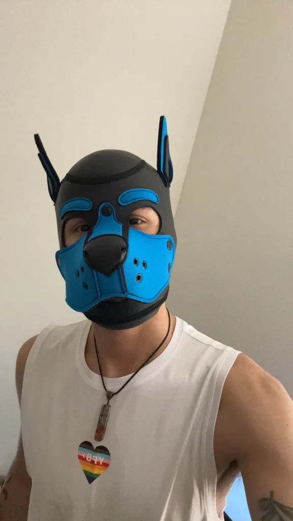 Pup Runner