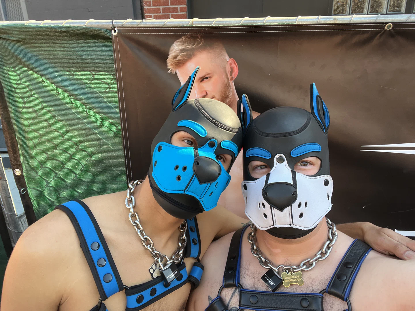 Pup Runner profile banner