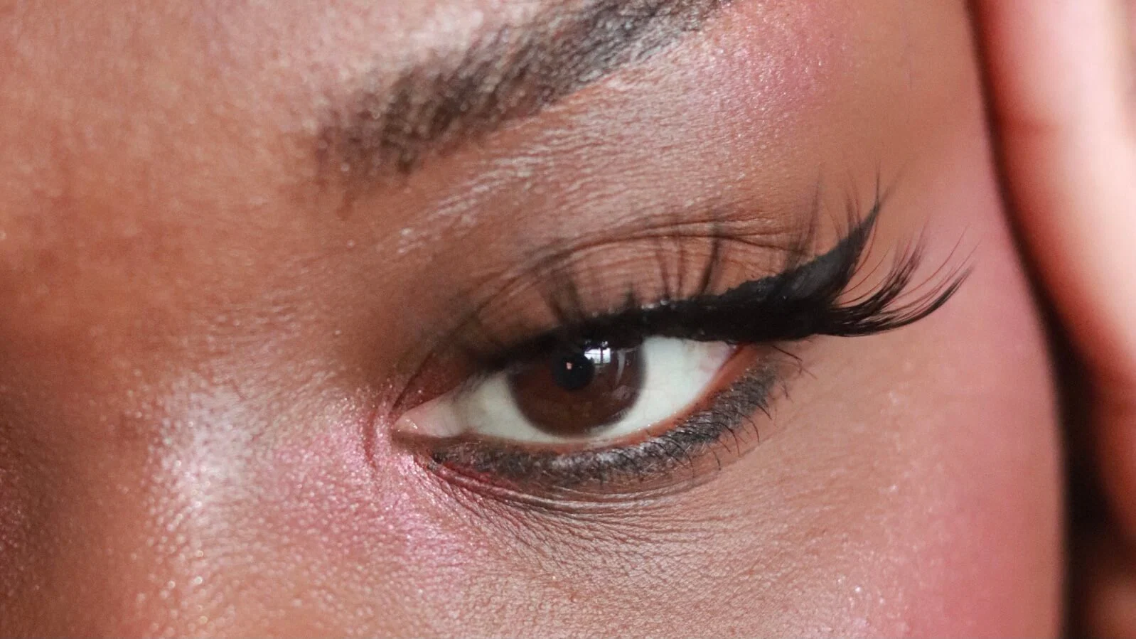 Sibylle profile banner