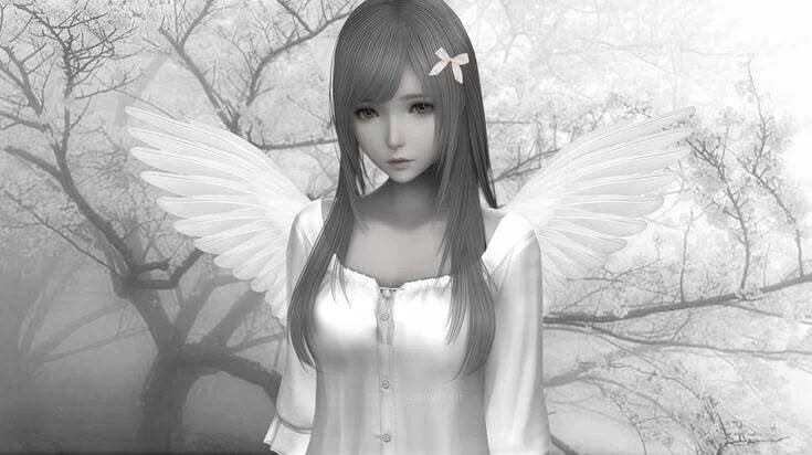 natalia ~ ππβ¨ profile banner