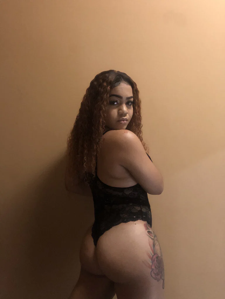 LexiParadise