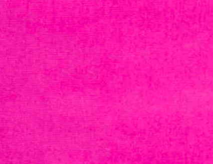 Miss Vanessa Hilton profile banner