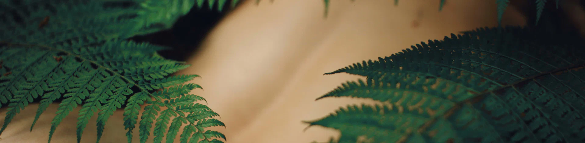 Annabelle Haze profile banner