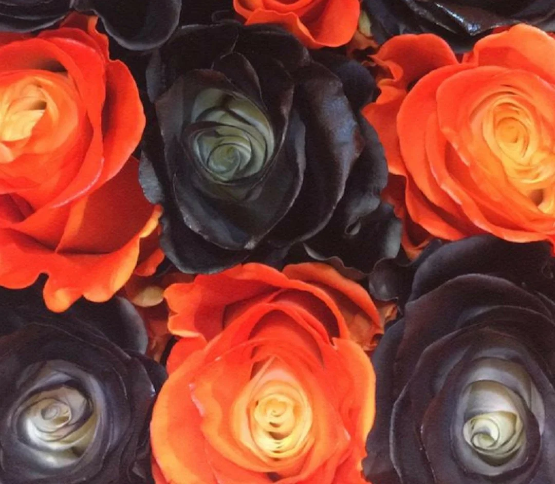 Halloween Rose profile banner