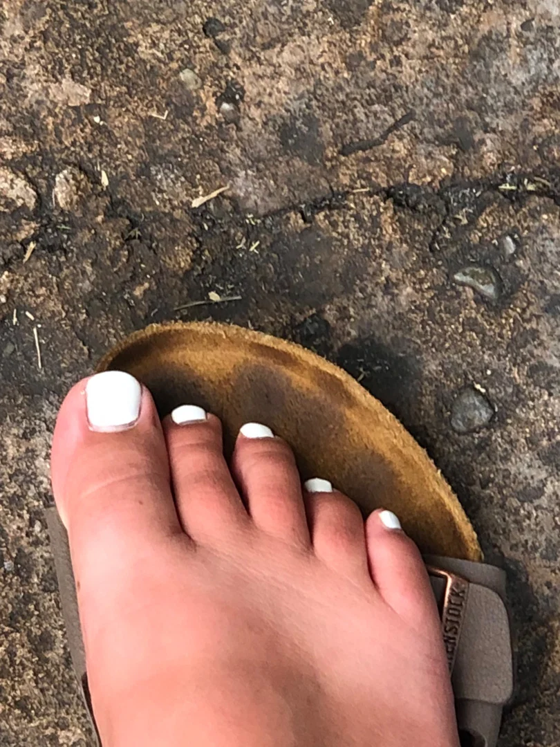 Thetoe.show profile banner