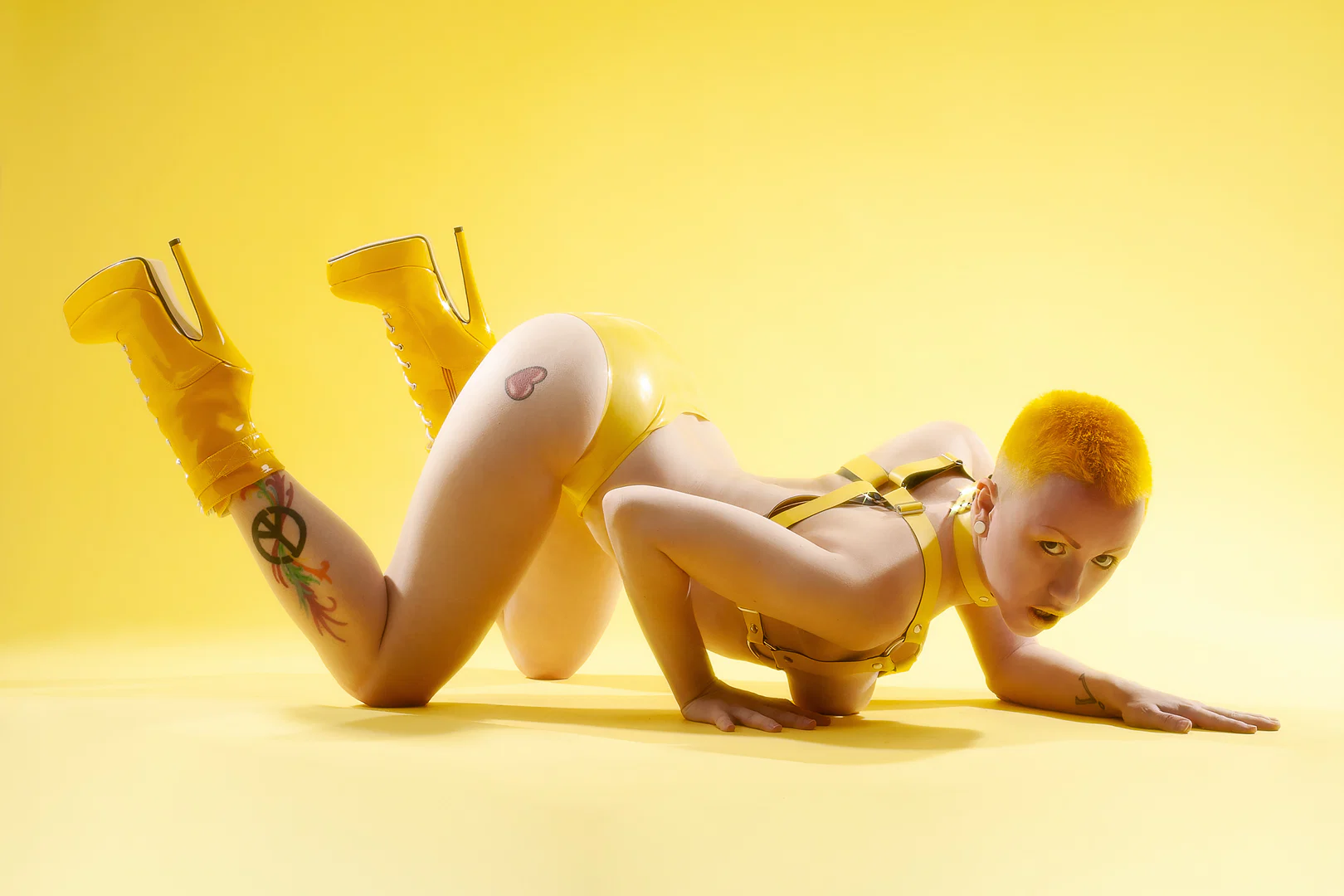 Dezi profile banner