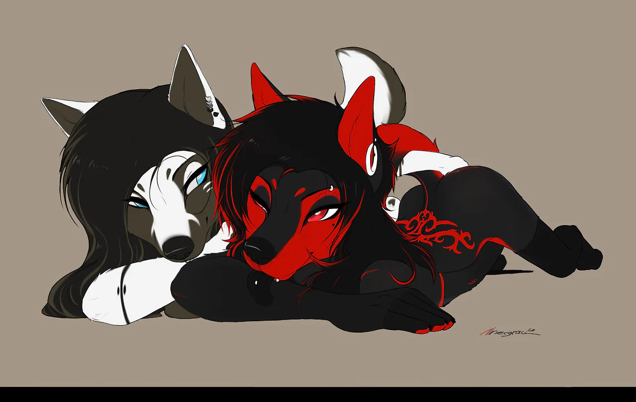 Loba Peludinha profile banner